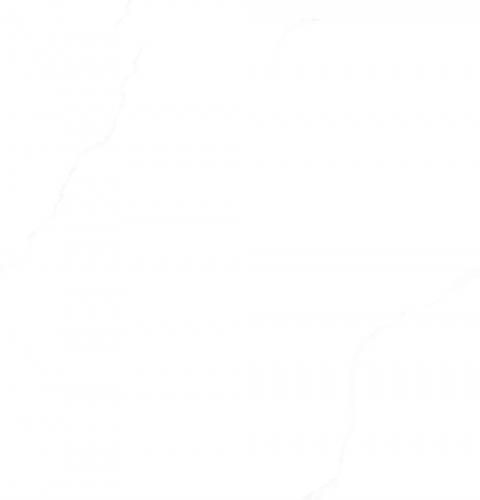 蒙利特白7KS80503P