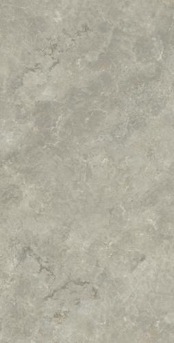 卡里  奥灰1KS18303P