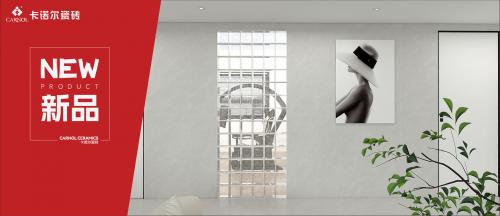 NEW·卡诺尔天鹅绒质感砖新品~雅纳特灰，当之无愧的“C位”...