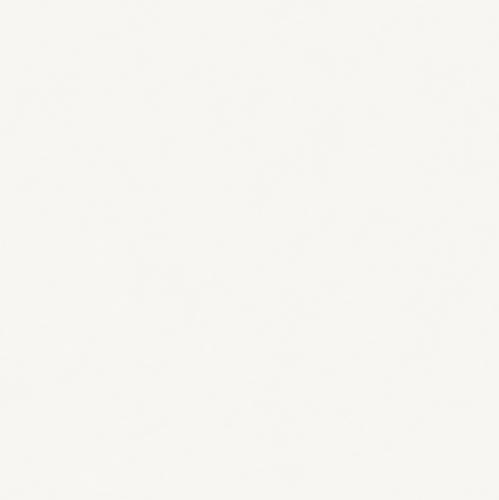 雪慕奶白7KS80609T