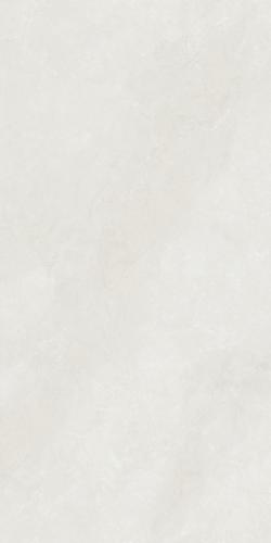 帝莎米黄7KK612102P 