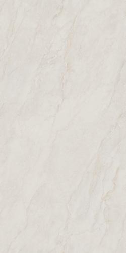 夏洛特灰1KS18991P