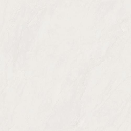 玛利亚灰7KS8B009P